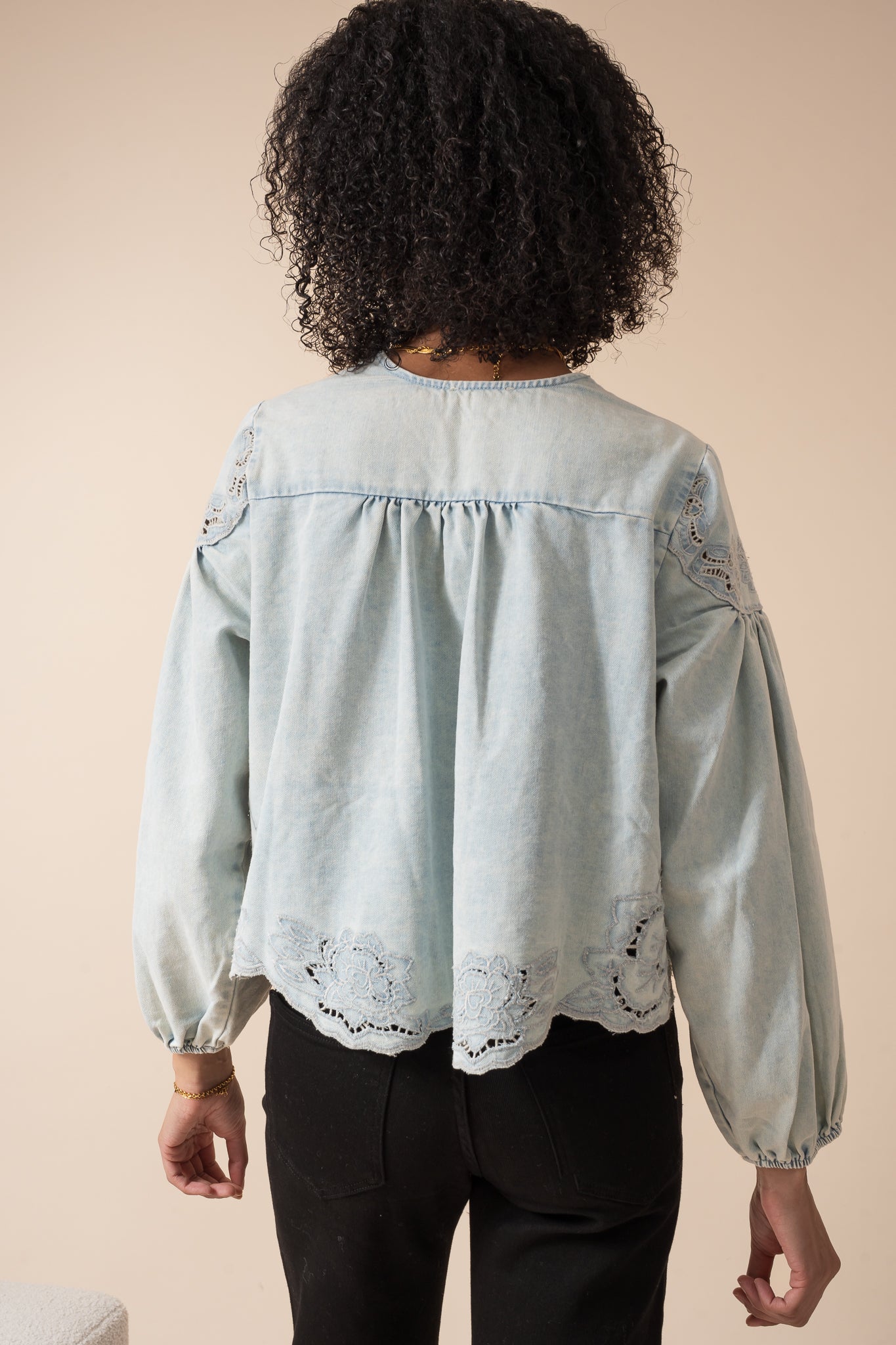 Denim Embroidery Balloon Sleeve Top